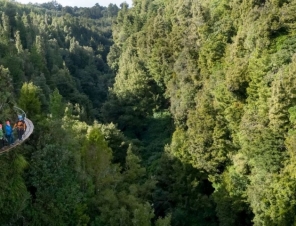 cliff walk
